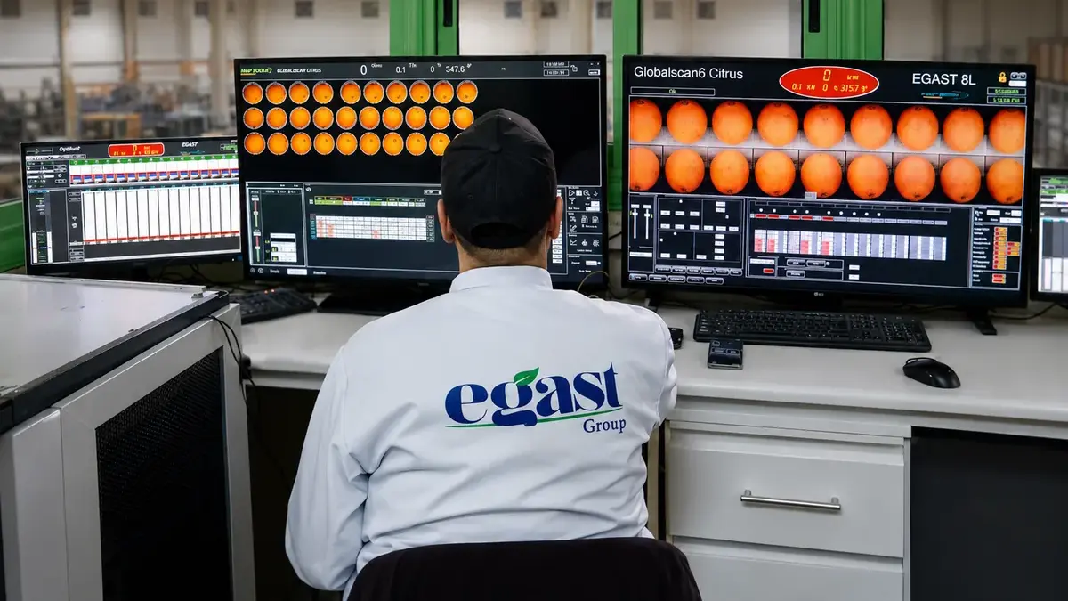 EGAST employee monitoring fresh produce operations in the control room