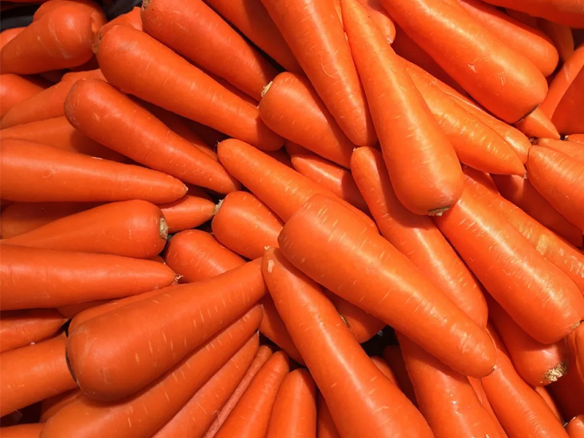 Carrots