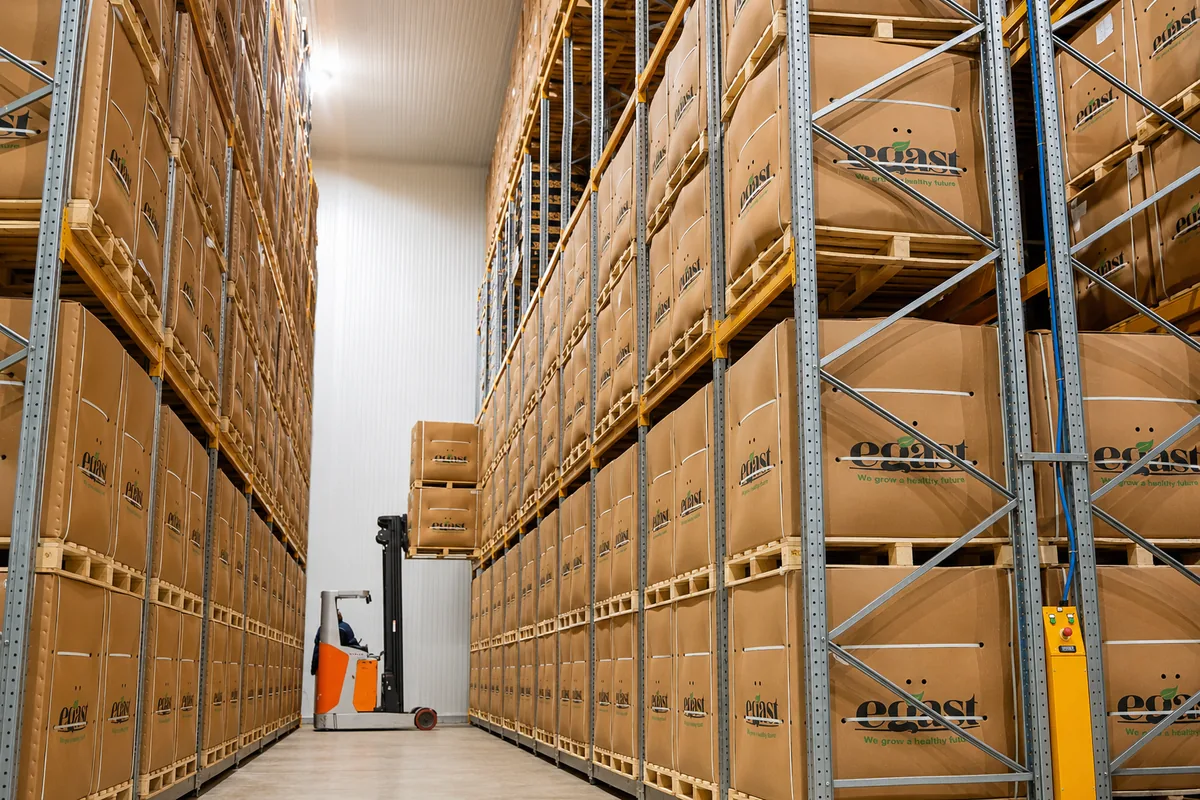 Cold Storage