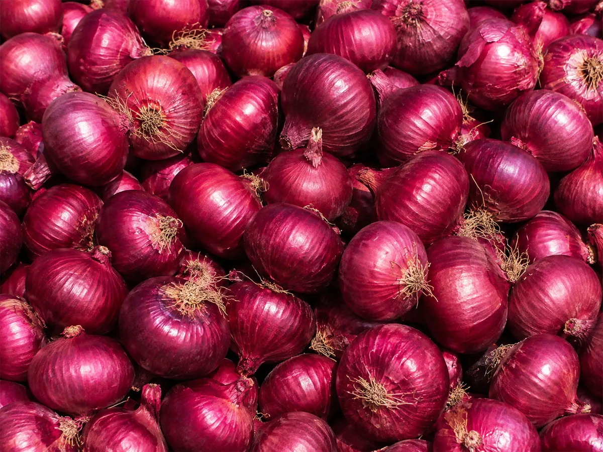 Onions