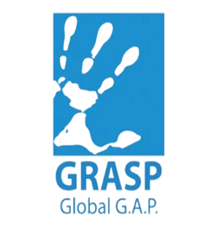 GRASP